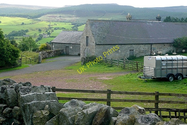 Photo 6"x4" Westhills Farm Newtown\/NU0300 c2009