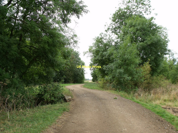 Photo 6"x4" Track through Evedon Wood Evedon c2011