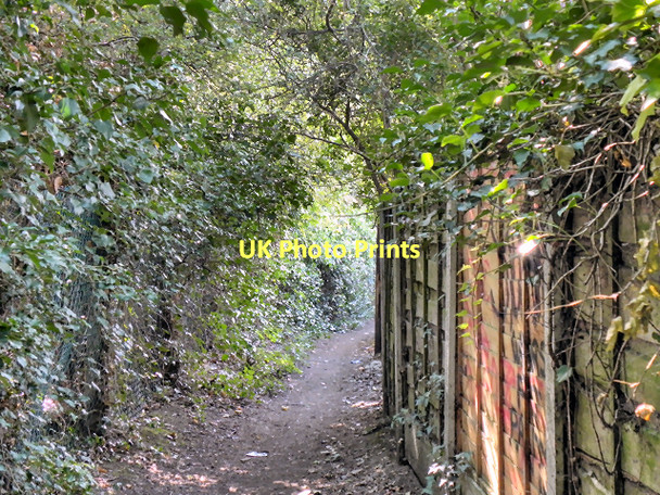 Photo 6"x4" Lower Bredbury, Path Behind Sargent Road Stockport\/SJ8990 c2011