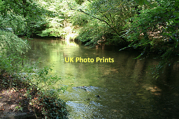 Photo 6"x4" Plymouth: river Plym Leigham c2011