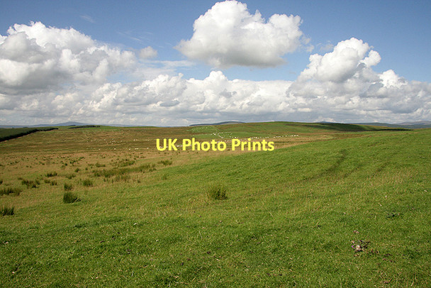 Photo 6"x4" Carterton Hill Boreland\/NY1791 c2011