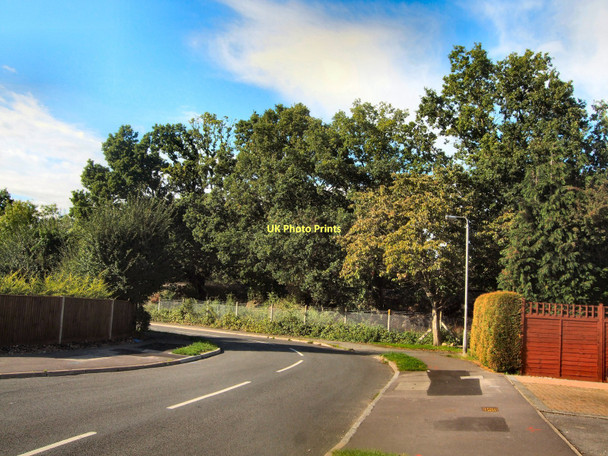 Photo 6"x4" Bathurst Road, Winnersh Winnersh c2011