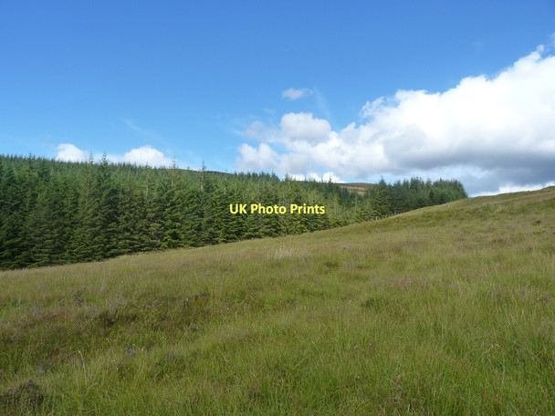 Photo 6"x4" Looking uphill along forestry edge below Meall Dubh Bohuntine c2011