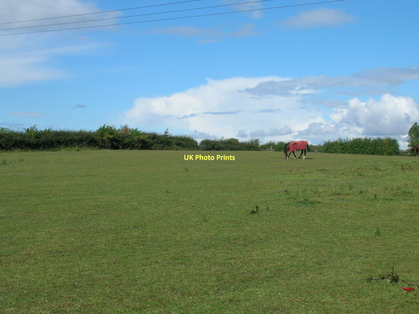 Photo 6"x4" Farmland off the B6060 Wickersley c2011