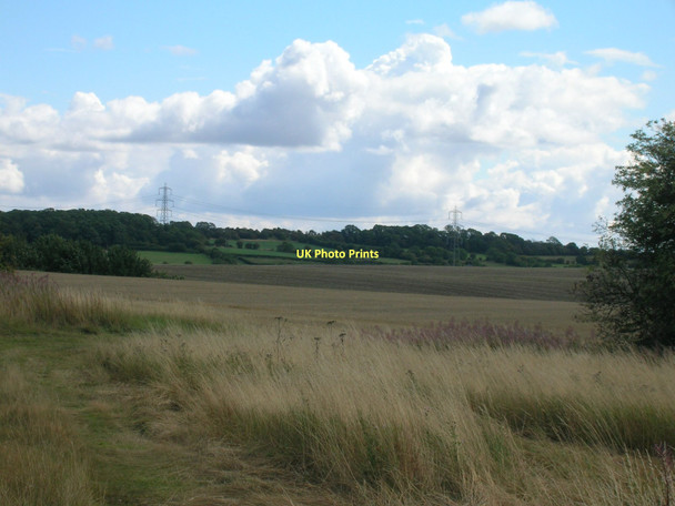 Photo 6"x4" Farmland, Cumwell Fields Maltby\/SK5292 c2011