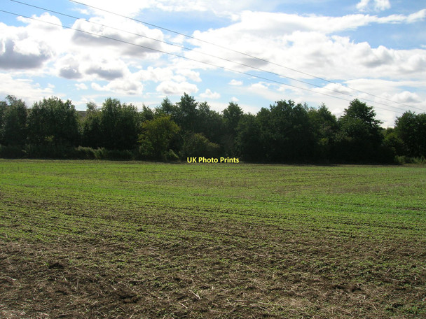 Photo 6"x4" Farmland off Newhall Lane Maltby\/SK5292 c2011