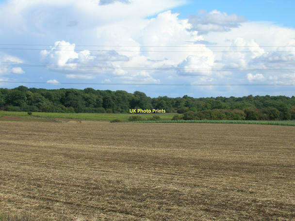 Photo 6"x4" Farmland off Abbey Lane Slade Hooton c2011