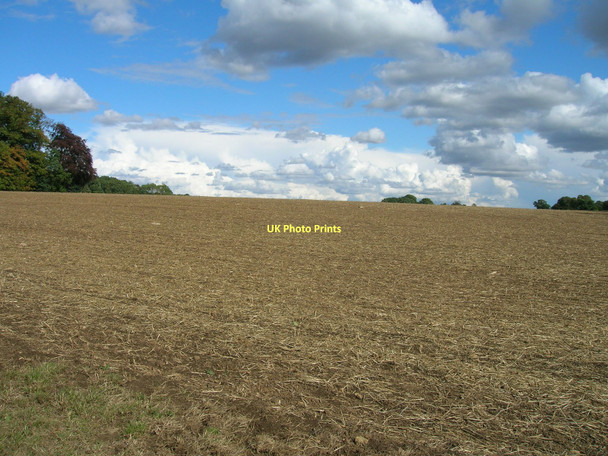 Photo 6"x4" Farmland near T Plantation Stone\/SK5589 c2011