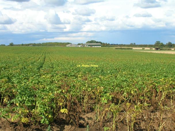 Photo 6"x4" Farmland off Cockhill Field Lane Braithwell c2011