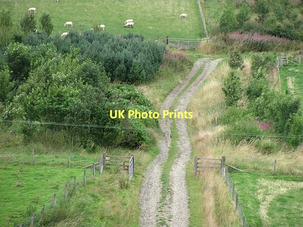 Photo 6"x4" Track, Kilbucho Mitchell Hill\/NT0633 c2011