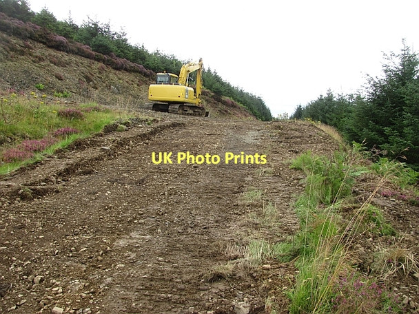 Photo 6"x4" Forest road junction, Rough Side Rachan Mill c2011