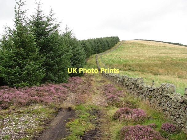 Photo 6"x4" Rough Side Rachan Mill c2011