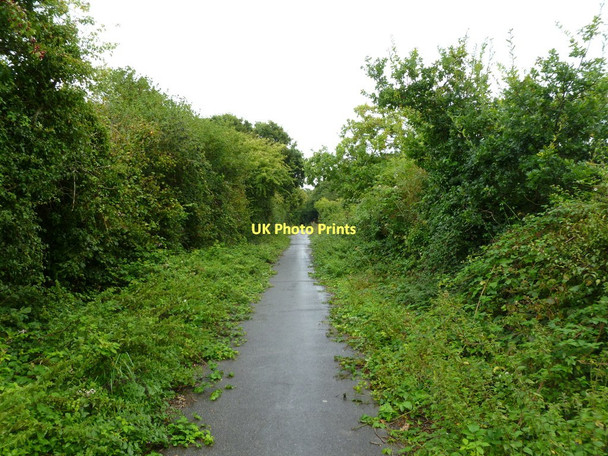 Photo 6"x4" Lower Pennington, Iley Lane Lymington c2011