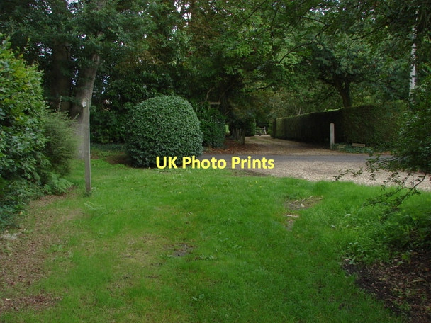 Photo 6"x4" Pyle Hill Prey Heath c2011