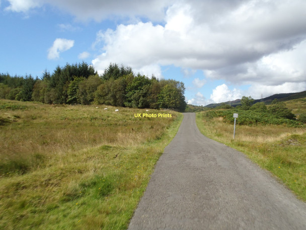 Photo 6"x4" Plantation Corner in Craigshinnie Glen St John's Town of Dalry c2011
