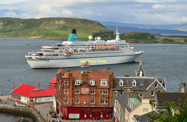 Photo 6"x4" Albatros in Oban Bay Oban\/NM8630 c2011