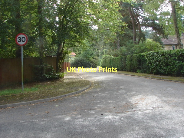 Photo 6"x4" Fir Tree Close, South Ascot South Ascot c2011