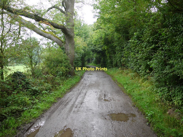Photo 6"x4" Track south of Holywood Upper Town\/NZ0737 c2011