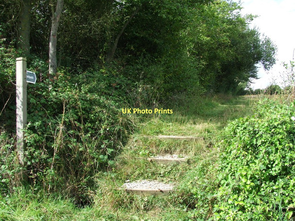 Photo 6"x4" Footpath And Steps Hightown Green c2011