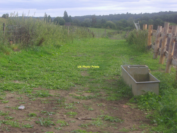Photo 6"x4" View from North Downs Way, Compton Compton\/SU9546 c2011