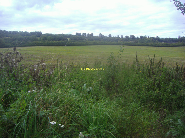 Photo 6"x4" View from North Downs Way, Compton Compton\/SU9546 c2011