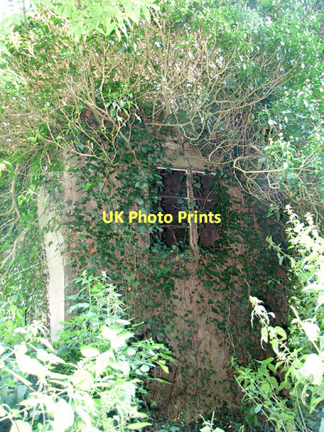 Photo 6"x4" Ivy-clad building on the edge of Oulton Belt Oulton Stret c2011