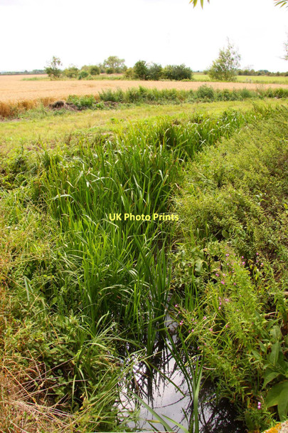 Photo 6"x4" Drainage stream by Marcham Mill Marcham c2011