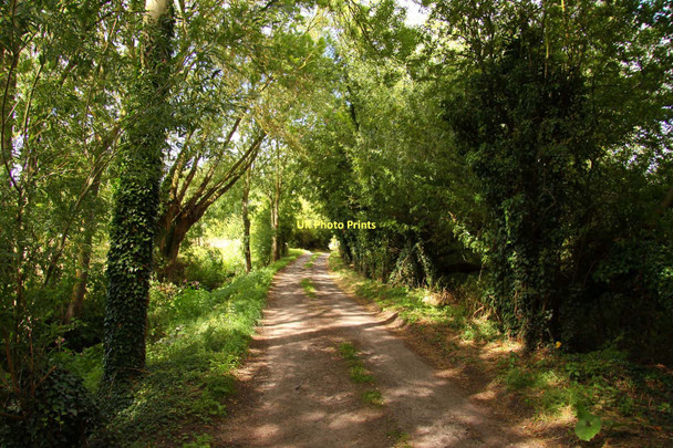 Photo 6"x4" Mill Road to Marcham Marcham c2011