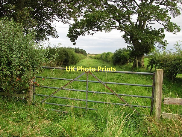 Photo 6"x4" A green lane near Elford Newham\/NU1728 c2011