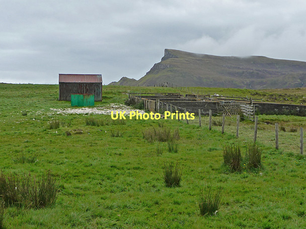 Photo 6"x4" Shed and Sheep Fanks Conasta c2011