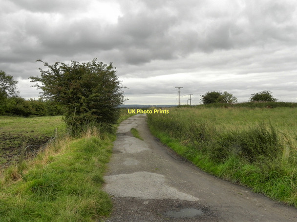 Photo 6"x4" Rosemary Lane Atherton c2011