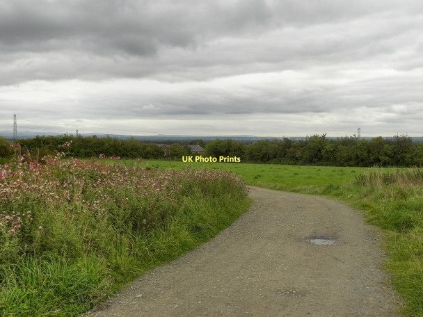 Photo 6"x4" Rosemary Lane Atherton c2011 P1
