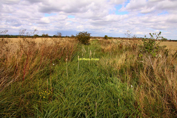 Photo 6"x4" Overgrown bridleway Drayton\/SU4794 c2011