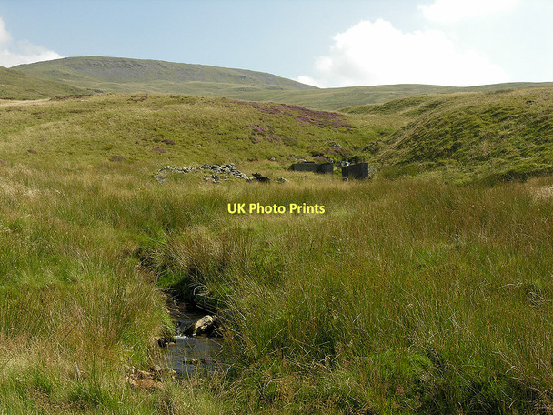 Photo 6"x4" Ruin by the Maesnant Bryn y Beddau c2011