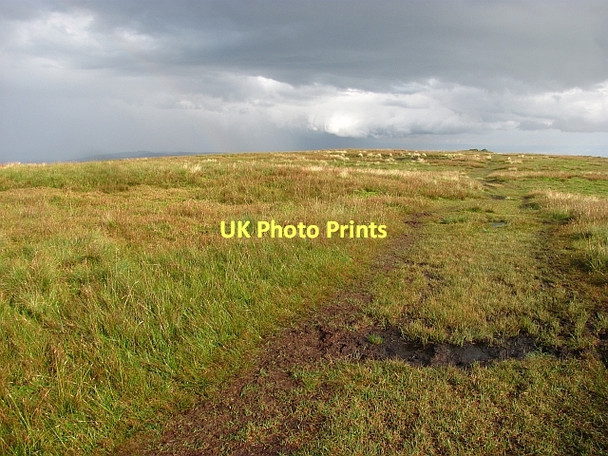 Photo 6"x4" The summit, King's Seat Hill Tillicoultry c2011