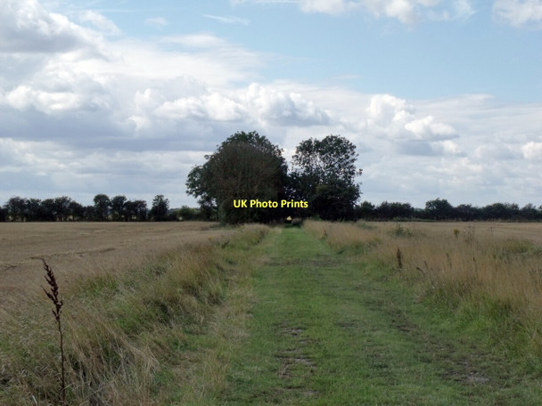 Photo 6"x4" Rookery Lane, near Wildmore Kennels Bunker's Hill\/TF2653 c2011