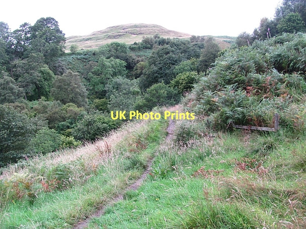 Photo 6"x4" Path, Dollar Glen Dollar c2011