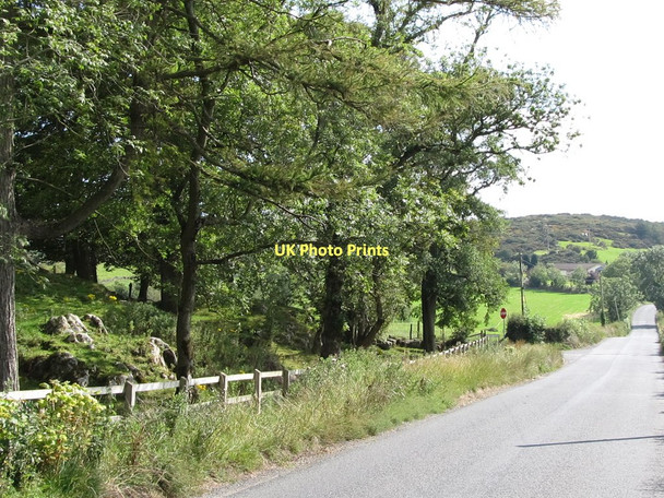 Photo 6"x4" Woodland at the Bannanstown-Leitrim Road junction Ballyward c2011