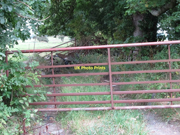 Photo 6"x4" The sad end of Bannanstown Road Annsborough c2011