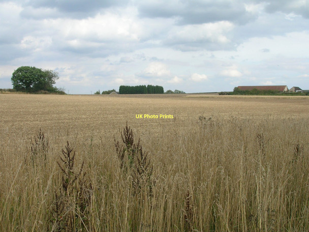 Photo 6"x4" Farmland off Carr Lane Conisbrough c2011