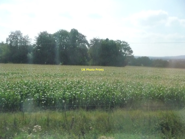 Photo 6"x4" Mole Valley : Field near Brockham Box Hill\/TQ1951 c2011