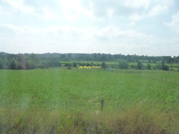 Photo 6"x4" Mole Valley : Grassy Field Dorking c2011