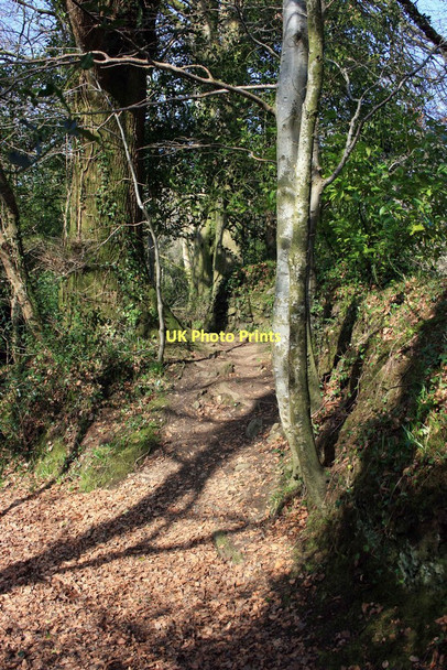 Photo 6"x4" Path alongside the Glaze Brook Brent Mill c2009