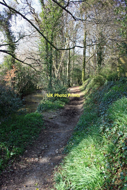 Photo 6"x4" Footpath by the Glaze Brook Brent Mill c2009