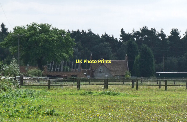 Photo 6"x4" Birch Dale Farm Swinderby c2011