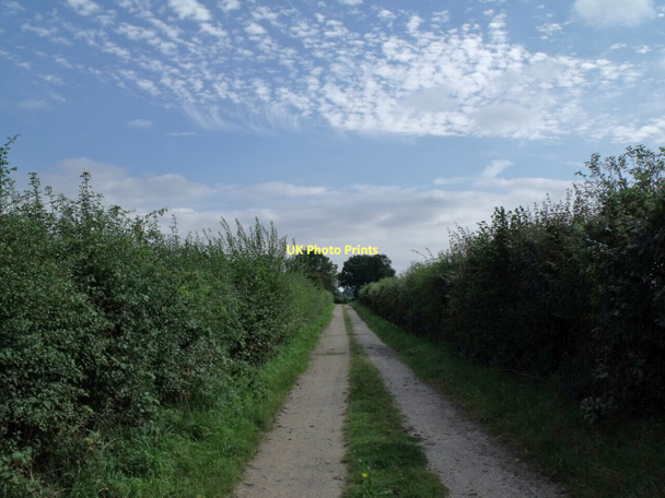 Photo 6"x4" Folly Lane North Scarle c2011