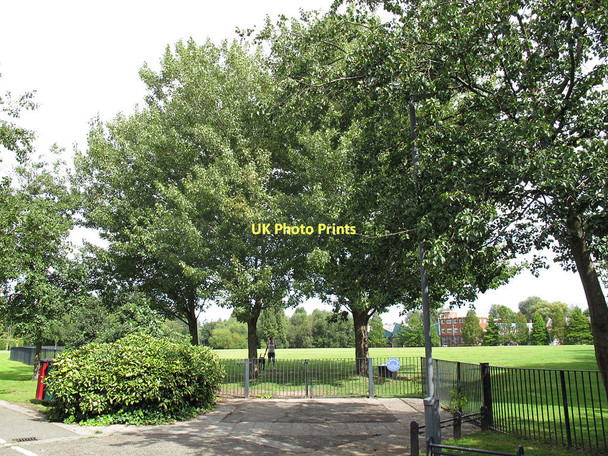 Photo 6"x4" Memorial trees in King George's Park Wandsworth c2011