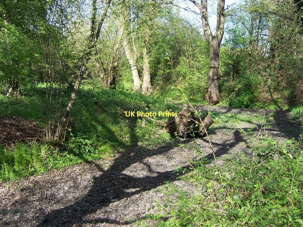 Photo 6"x4" Pynchester Moat Ruislip c2011