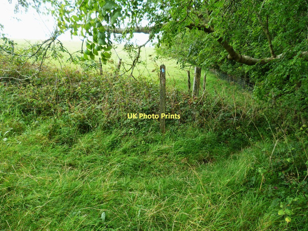 Photo 6"x4" Worn out waymark in field corner Steyning c2011