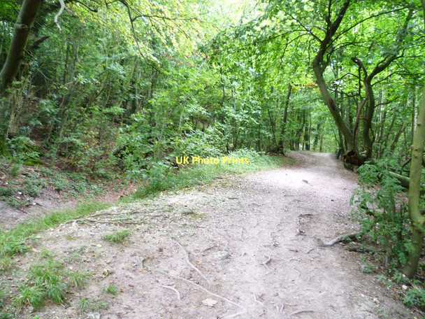 Photo 6"x4" The bridleway called Wiston Bostal Washington\/TQ1212 c2011